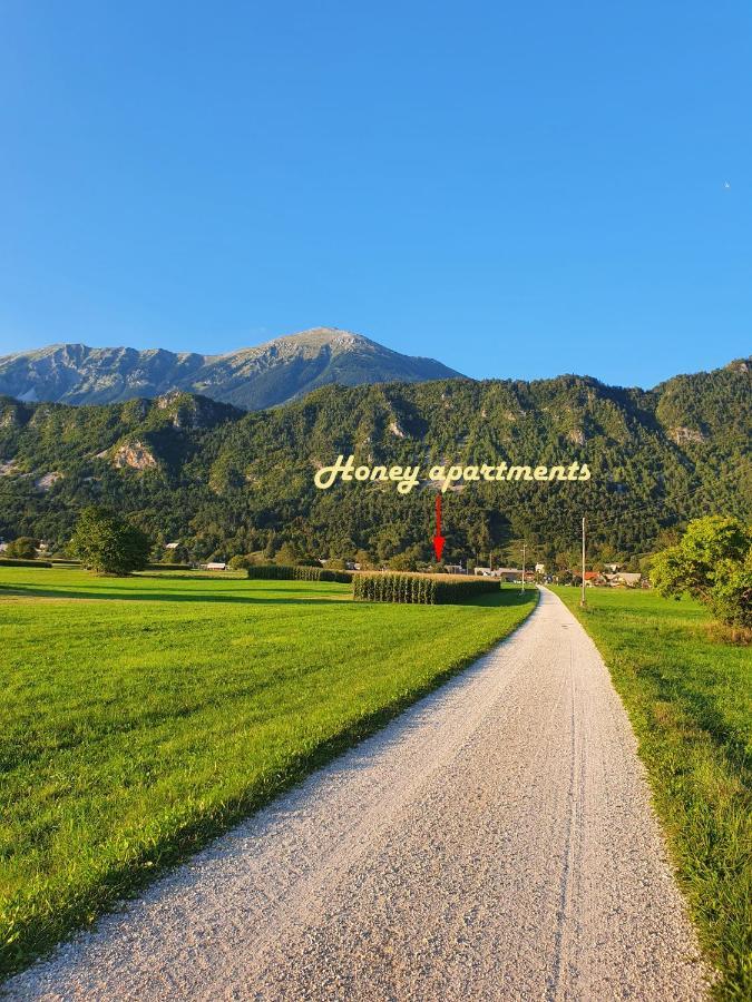 Honey Apartments ゴレンスカ地方 エクステリア 写真